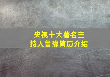 央视十大著名主持人鲁豫简历介绍