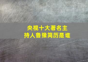 央视十大著名主持人鲁豫简历是谁