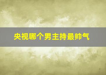 央视哪个男主持最帅气