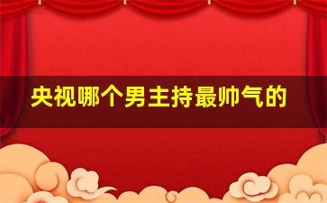 央视哪个男主持最帅气的