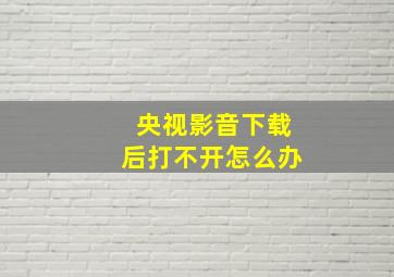 央视影音下载后打不开怎么办