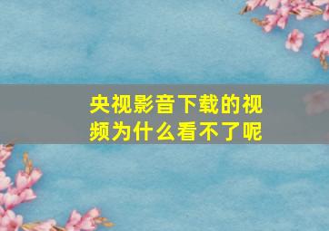 央视影音下载的视频为什么看不了呢