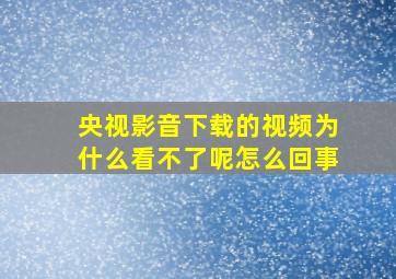 央视影音下载的视频为什么看不了呢怎么回事