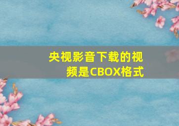 央视影音下载的视频是CBOX格式