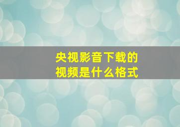 央视影音下载的视频是什么格式