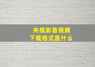 央视影音视频下载格式是什么