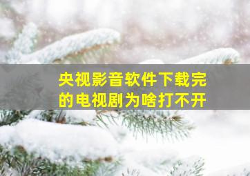 央视影音软件下载完的电视剧为啥打不开