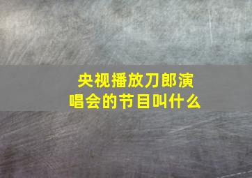 央视播放刀郎演唱会的节目叫什么