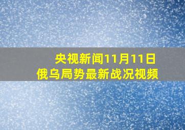 央视新闻11月11日俄乌局势最新战况视频