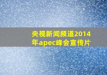 央视新闻频道2014年apec峰会宣传片