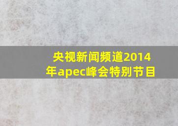 央视新闻频道2014年apec峰会特别节目