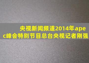 央视新闻频道2014年apec峰会特别节目总台央视记者刚强