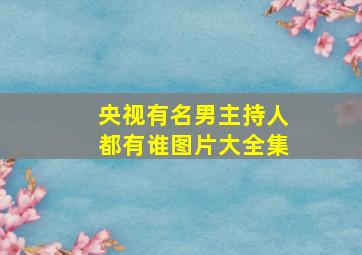 央视有名男主持人都有谁图片大全集