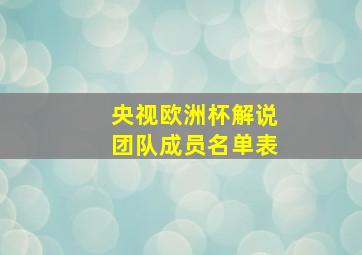 央视欧洲杯解说团队成员名单表