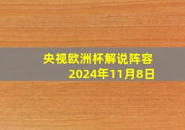 央视欧洲杯解说阵容2024年11月8日