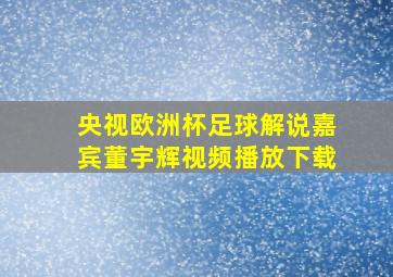 央视欧洲杯足球解说嘉宾董宇辉视频播放下载