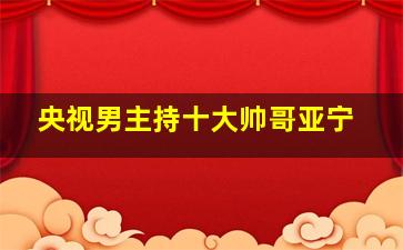 央视男主持十大帅哥亚宁