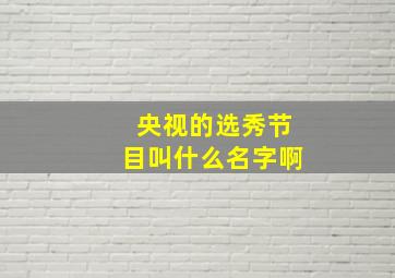 央视的选秀节目叫什么名字啊