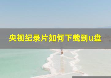 央视纪录片如何下载到u盘