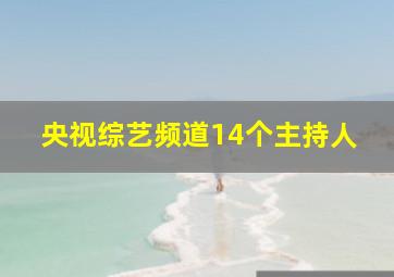 央视综艺频道14个主持人