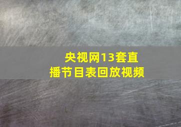 央视网13套直播节目表回放视频