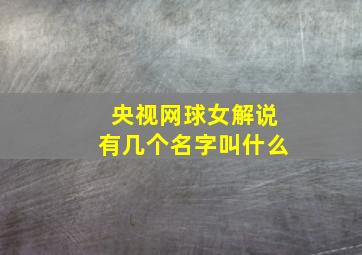 央视网球女解说有几个名字叫什么