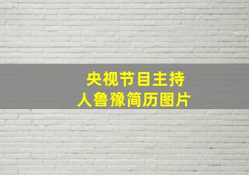 央视节目主持人鲁豫简历图片