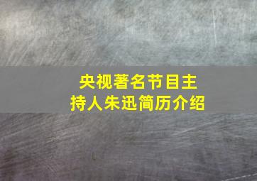 央视著名节目主持人朱迅简历介绍