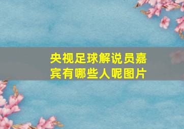 央视足球解说员嘉宾有哪些人呢图片