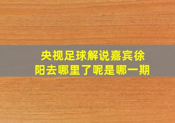 央视足球解说嘉宾徐阳去哪里了呢是哪一期