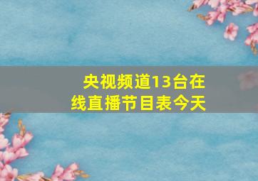 央视频道13台在线直播节目表今天