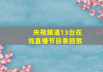 央视频道13台在线直播节目表回放