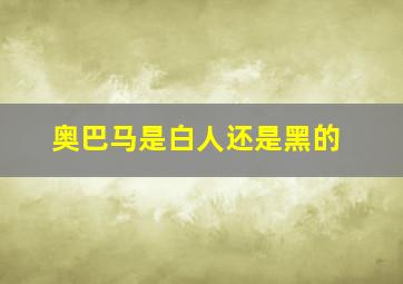 奥巴马是白人还是黑的