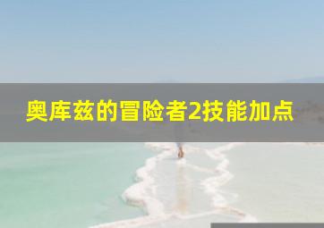 奥库兹的冒险者2技能加点