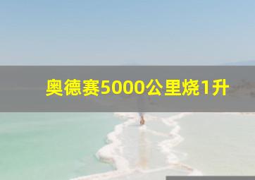 奥德赛5000公里烧1升