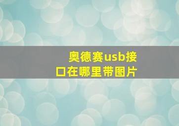 奥德赛usb接口在哪里带图片