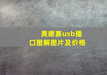 奥德赛usb插口图解图片及价格