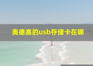 奥德赛的usb存储卡在哪