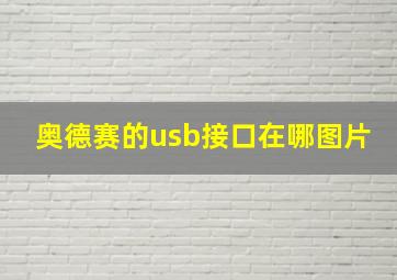 奥德赛的usb接口在哪图片