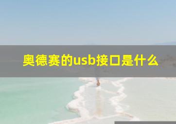 奥德赛的usb接口是什么