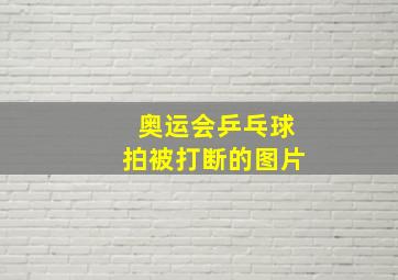 奥运会乒乓球拍被打断的图片