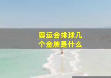 奥运会排球几个金牌是什么