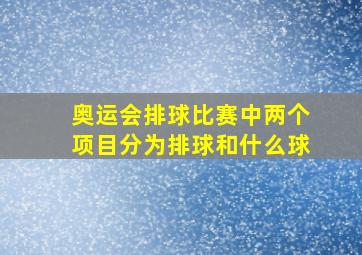 奥运会排球比赛中两个项目分为排球和什么球