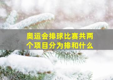 奥运会排球比赛共两个项目分为排和什么