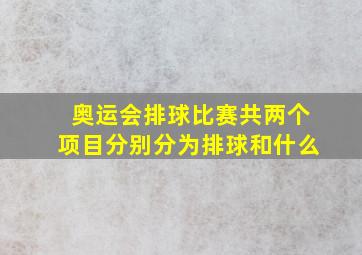 奥运会排球比赛共两个项目分别分为排球和什么