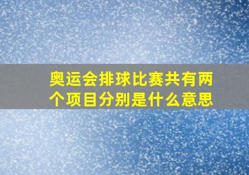 奥运会排球比赛共有两个项目分别是什么意思