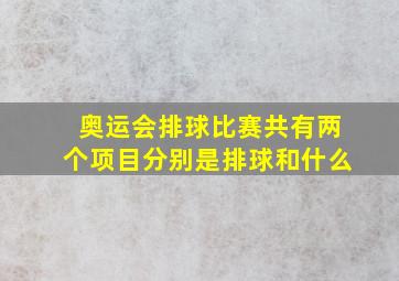 奥运会排球比赛共有两个项目分别是排球和什么