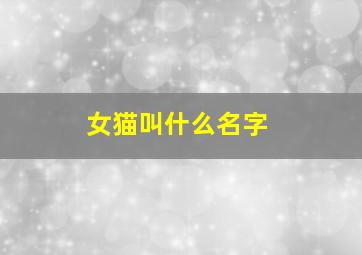 女猫叫什么名字