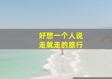 好想一个人说走就走的旅行