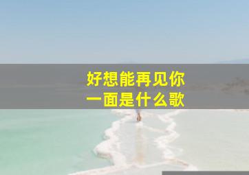 好想能再见你一面是什么歌